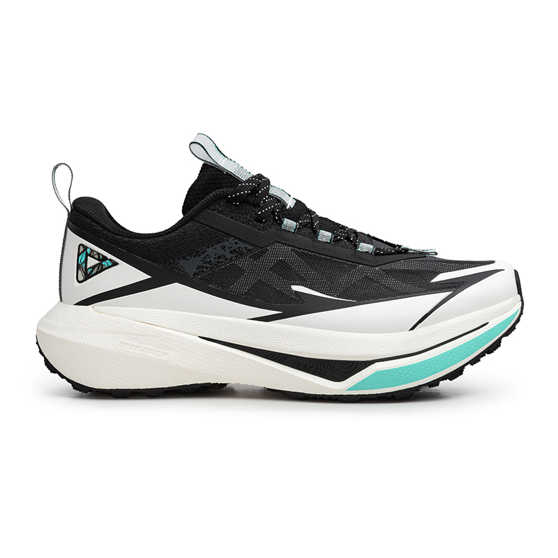EXT52161H-Z497-1 Peak Taichi Sports Shoes Black/White – Image 1